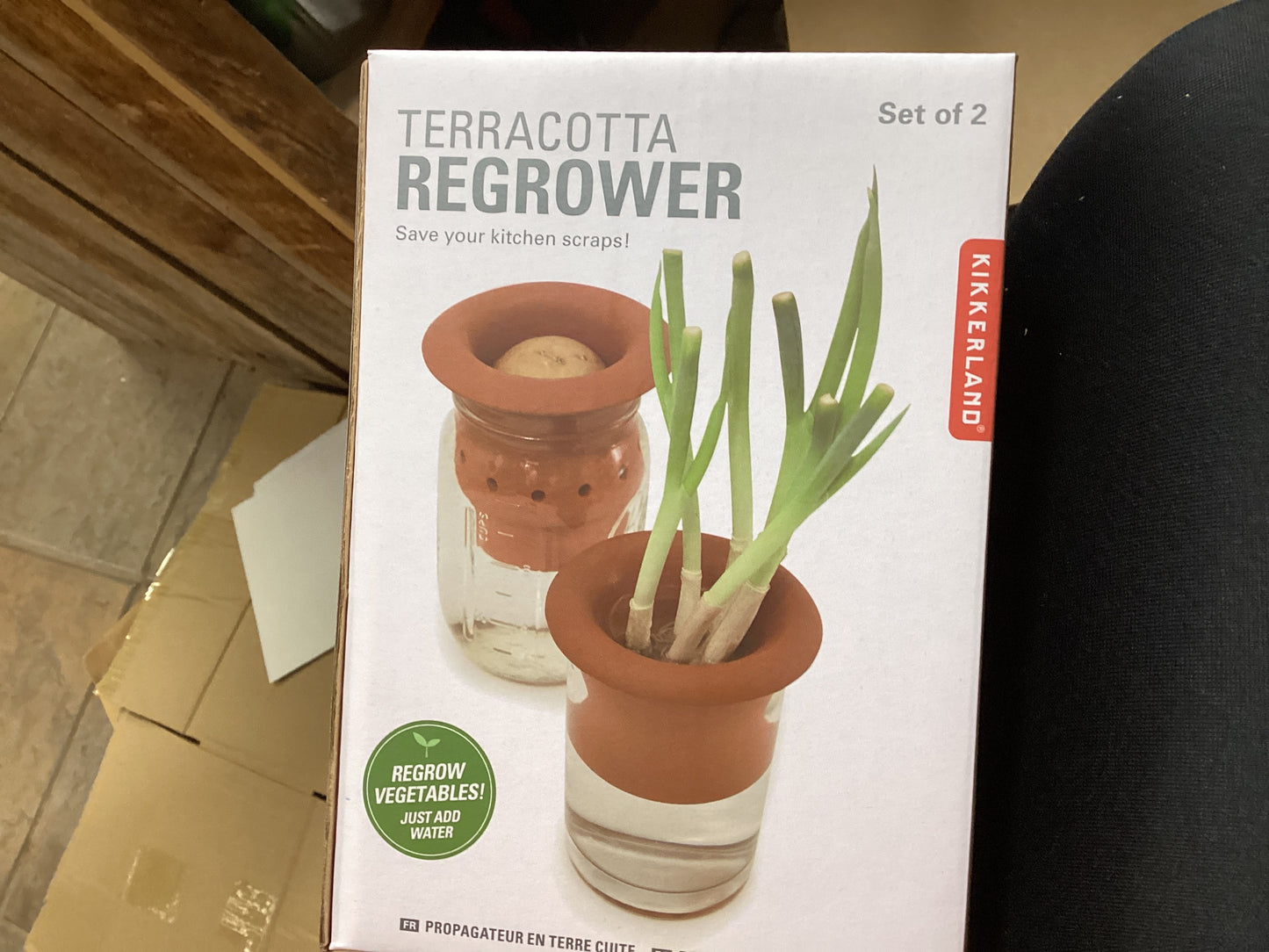 Terracotta Regrower