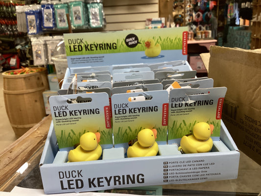 Duck LED light