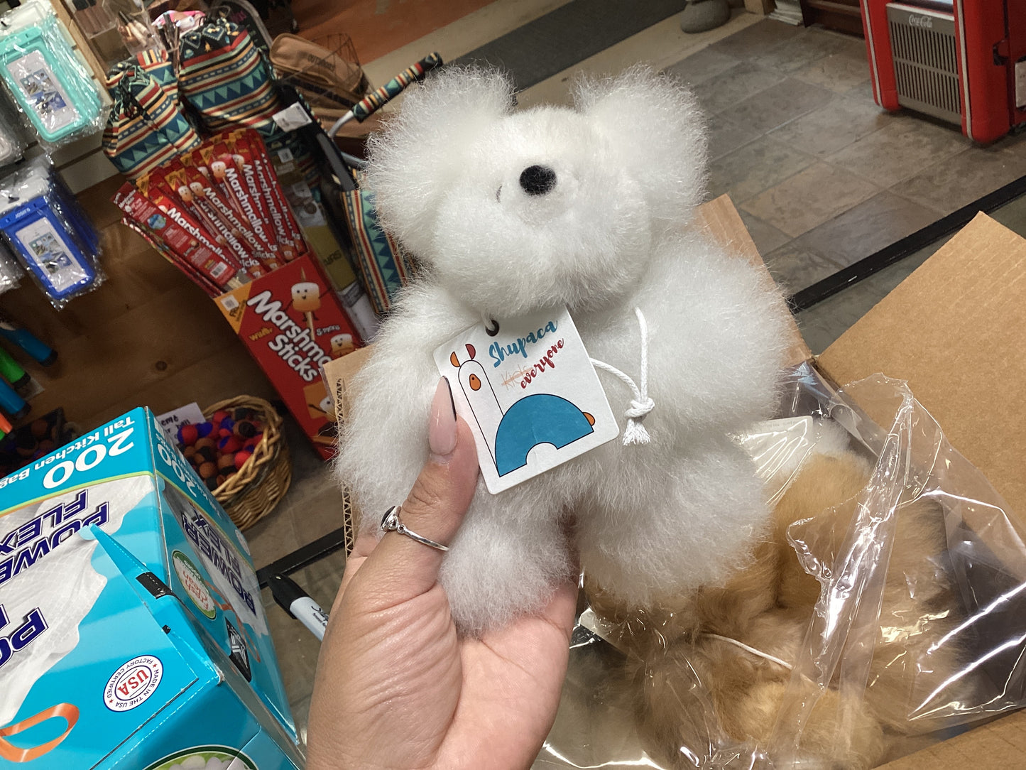 Assorted Alpaca Bear