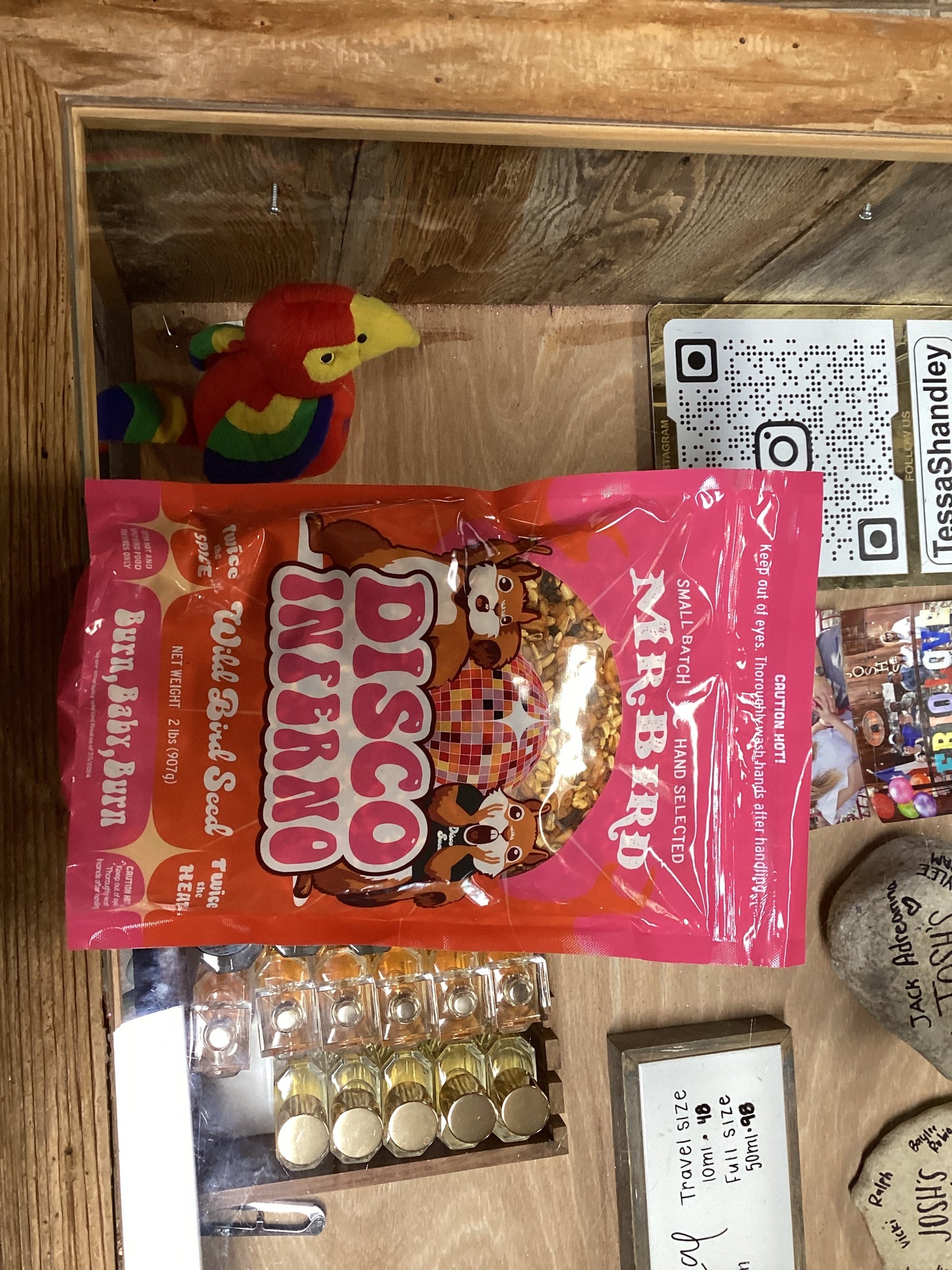 Disco inferno bird seed