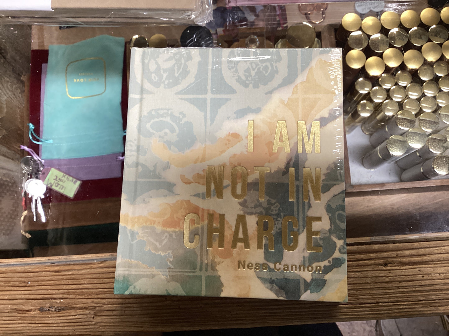 I Am Not In Charge by Ness Cannon